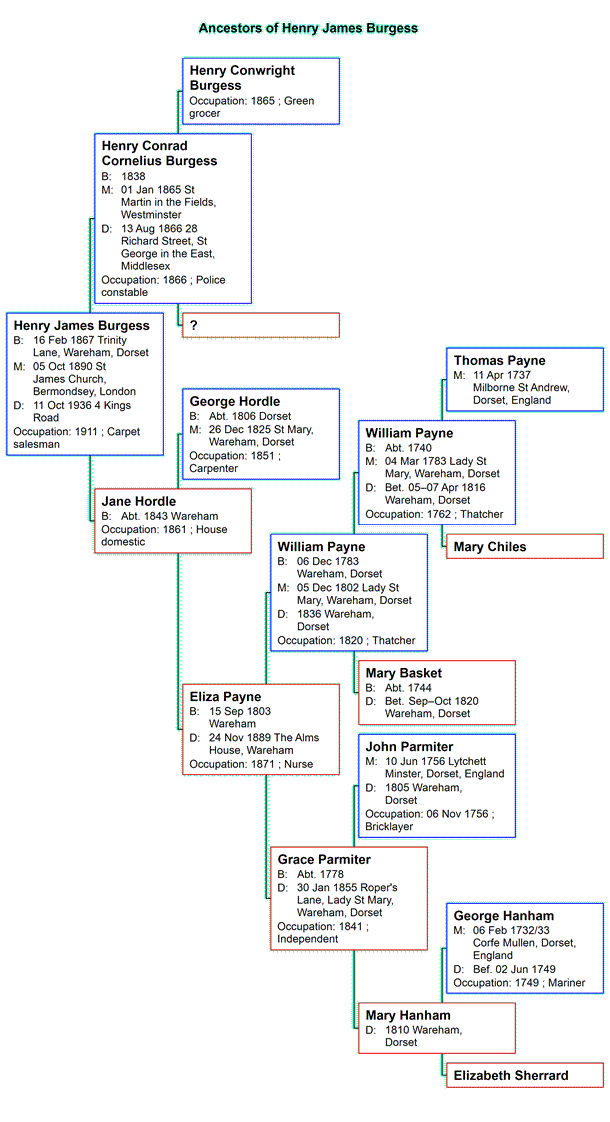 Pedigree Chart for Henry James Burgess